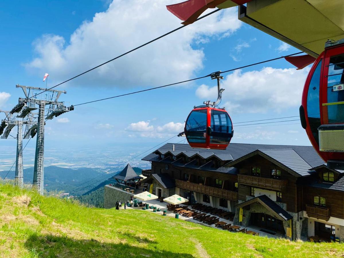 Yager Chalet Poiana Brasov Buitenkant foto