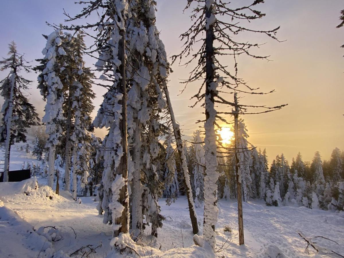 Yager Chalet Poiana Brasov Buitenkant foto