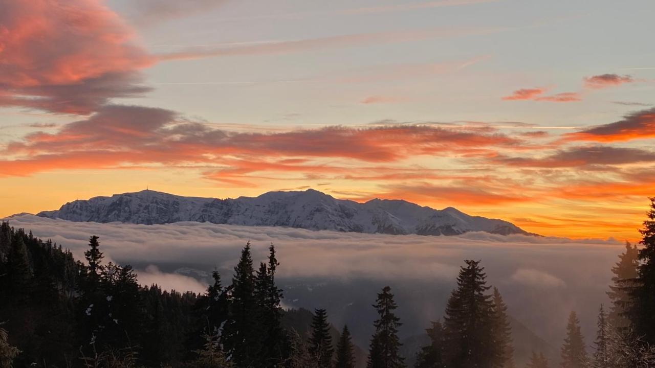 Yager Chalet Poiana Brasov Buitenkant foto